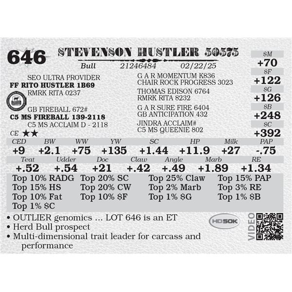 STEVENSON HUSTLER 50575