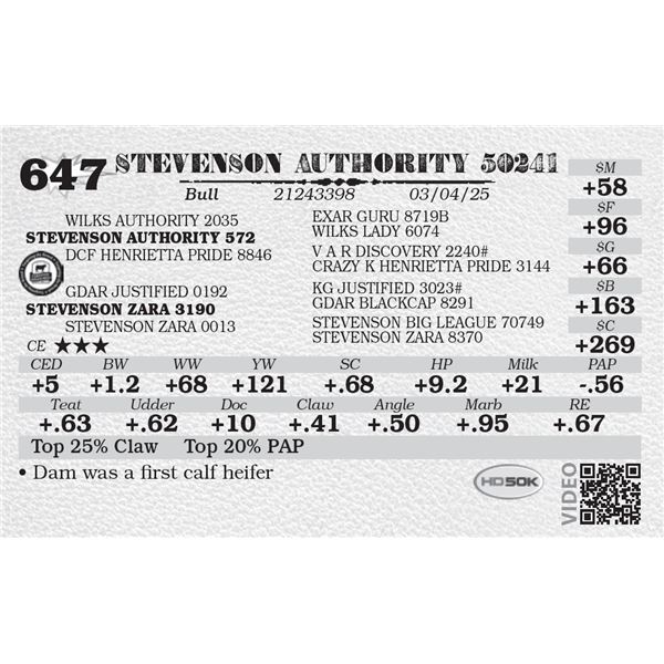STEVENSON AUTHORITY 50241