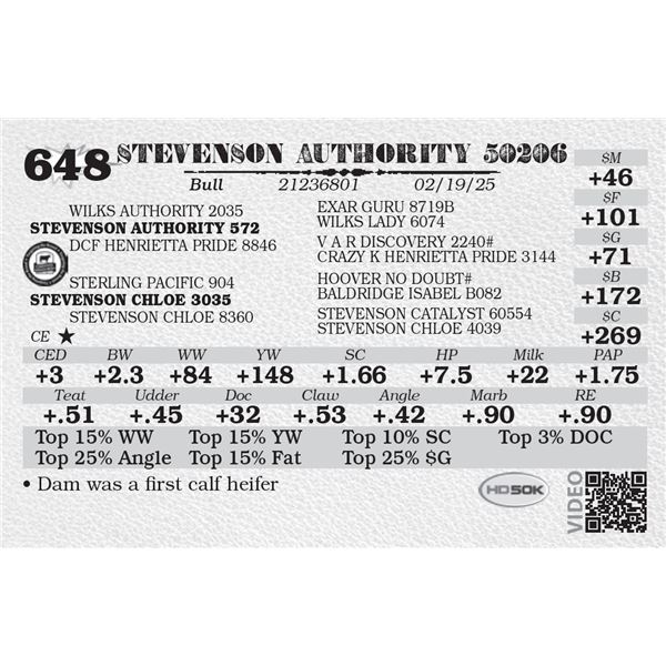 STEVENSON AUTHORITY 50206