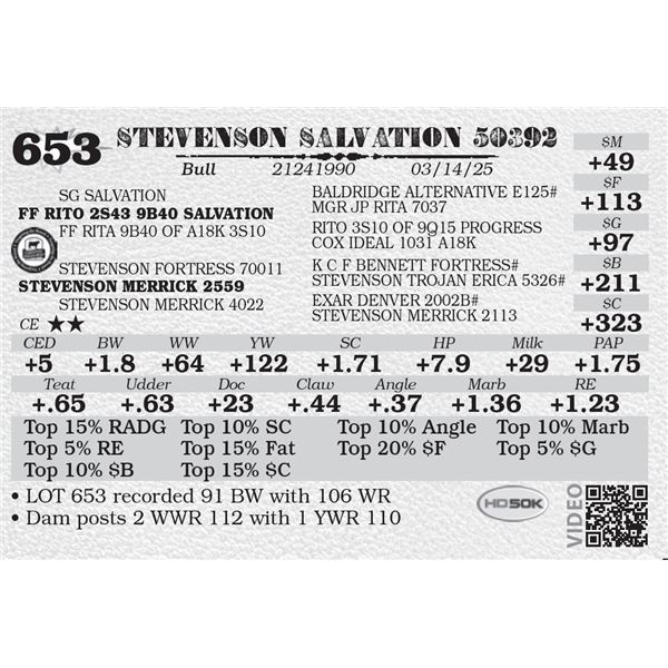 STEVENSON SALVATION 50392
