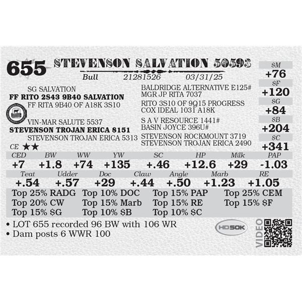 STEVENSON SALVATION 50593