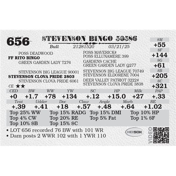 STEVENSON BINGO 50586