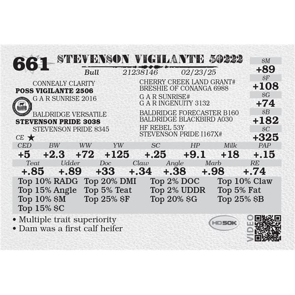 STEVENSON VIGILANTE 50222