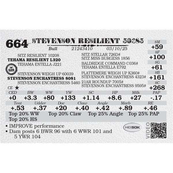 STEVENSON RESILIENT 50385