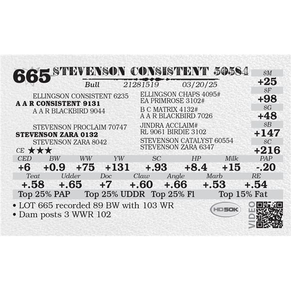 STEVENSON CONSISTENT 50584