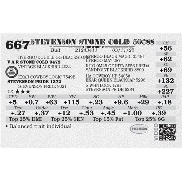 STEVENSON STONE COLD 50388