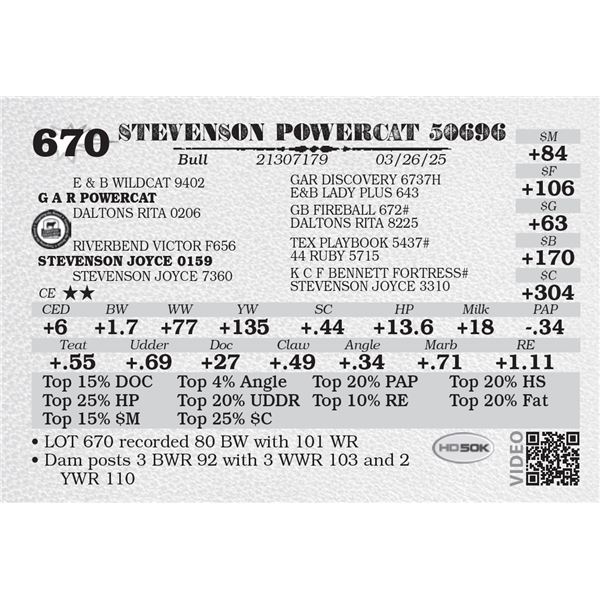 STEVENSON POWERCAT 50696