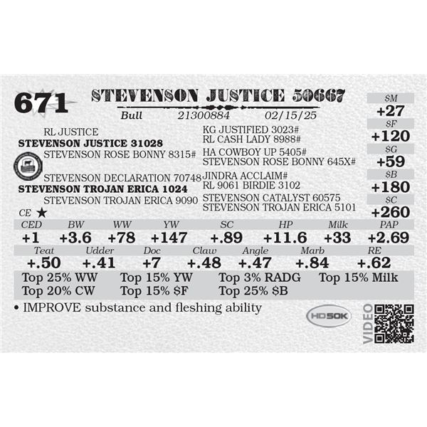 STEVENSON JUSTICE 50667