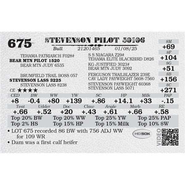 STEVENSON PILOT 50106