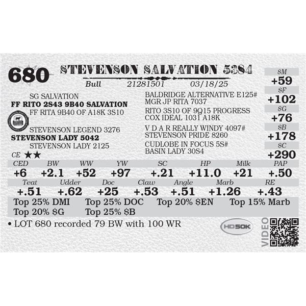 STEVENSON SALVATION 5384