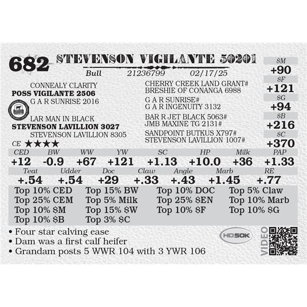 STEVENSON VIGILANTE 50201