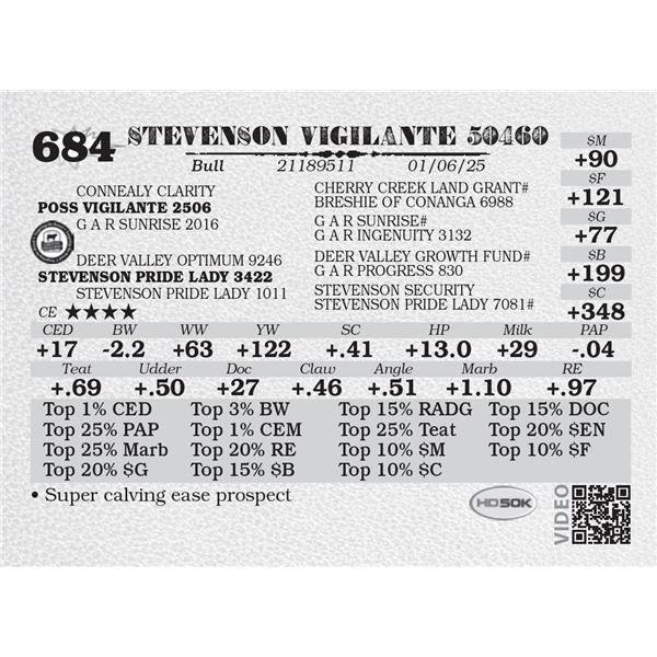 STEVENSON VIGILANTE 50460