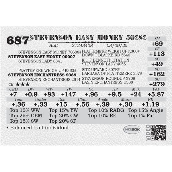 STEVENSON EASY MONEY 50383