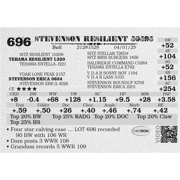 STEVENSON RESILIENT 50595