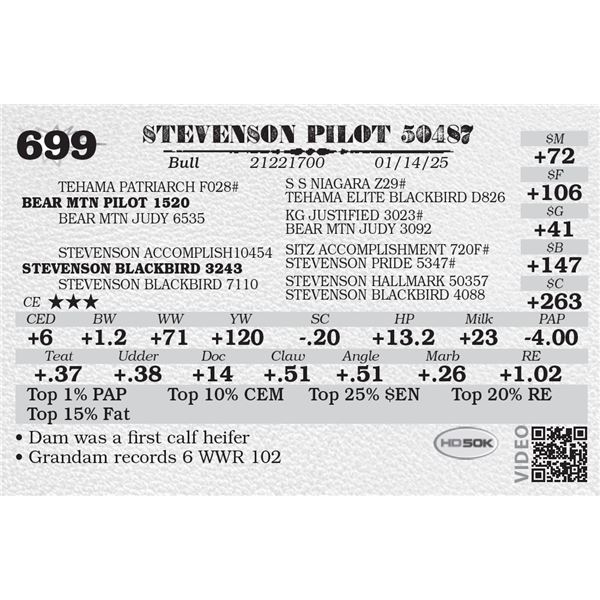 STEVENSON PILOT 50487