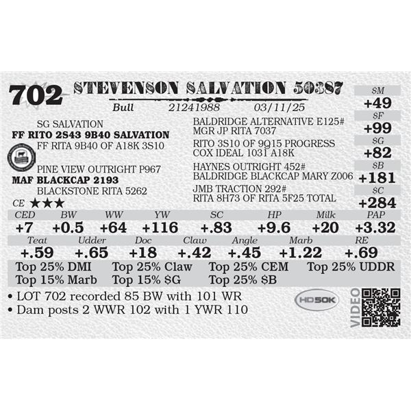 STEVENSON SALVATION 50387