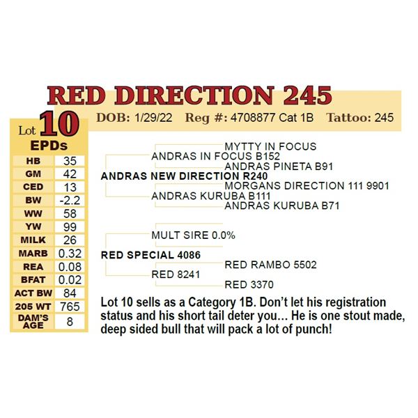 RED DIRECTION 245