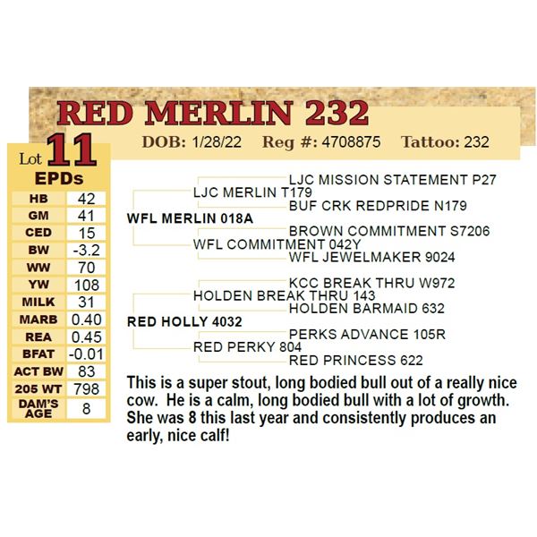 RED MERLIN 232