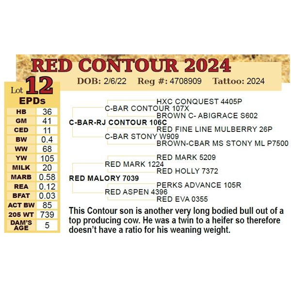 RED CONTOUR 2024