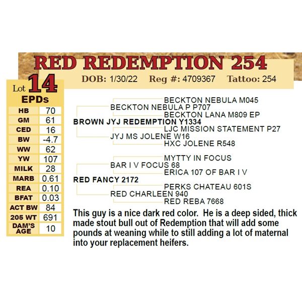 RED REDEMPTION 254