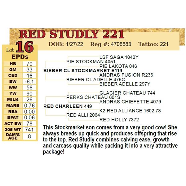 RED STUDLY 221