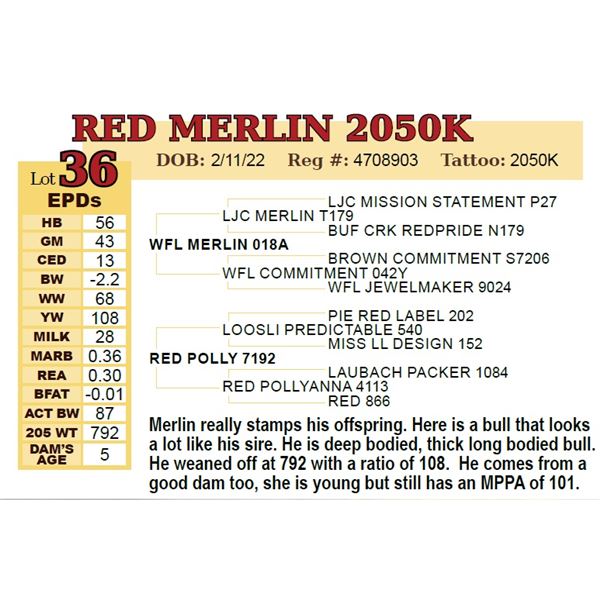 RED MERLIN 2050K