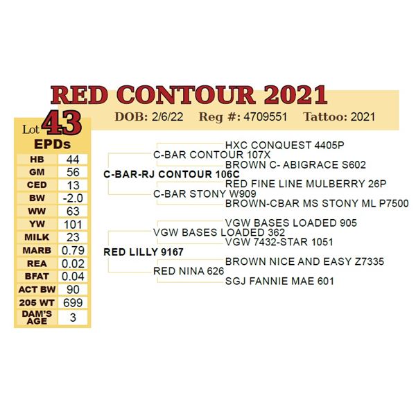 RED CONTOUR 2021