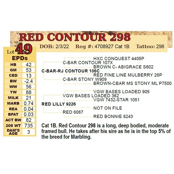 RED CONTOUR 298