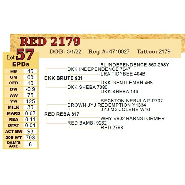 RED 2179