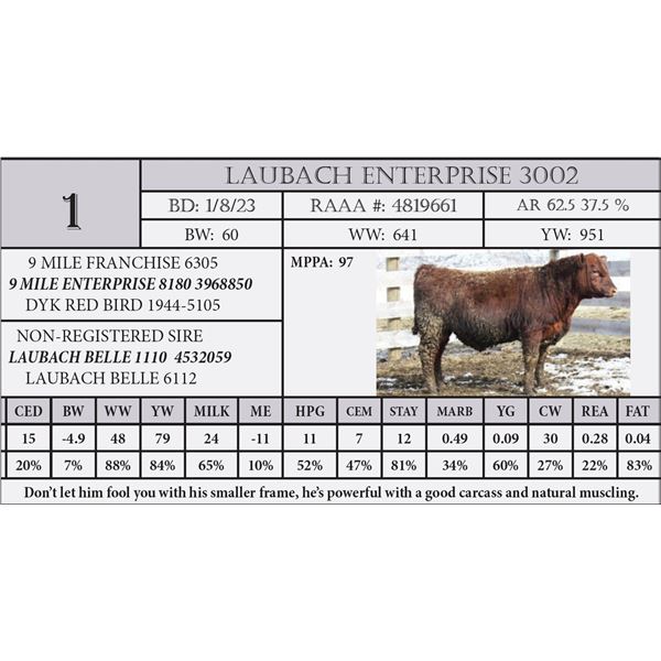 LAUBACH ENTERPRISE 3002