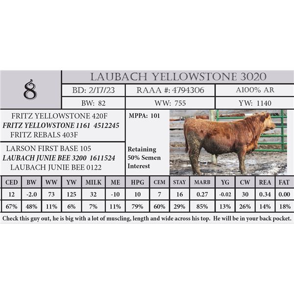 LAUBACH YELLOWSTONE 3020