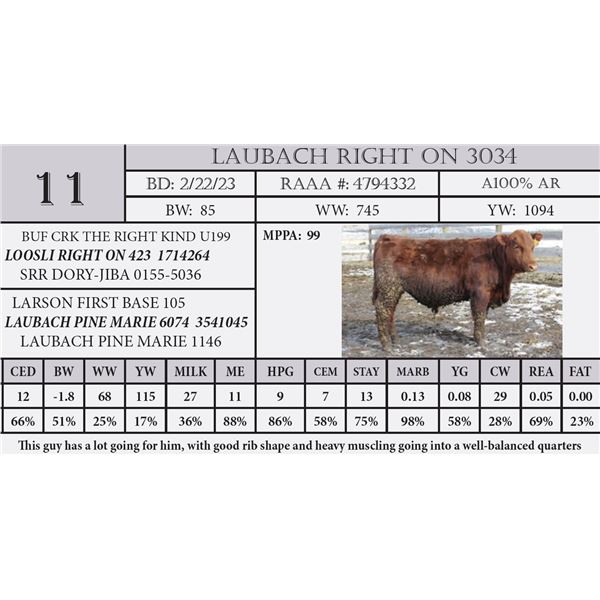 LAUBACH RIGHT ON 3034