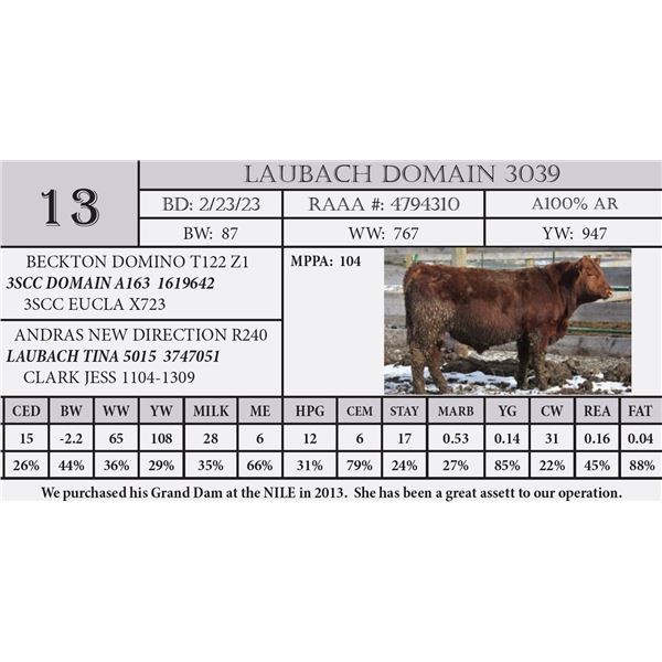 LAUBACH DOMAIN 3039