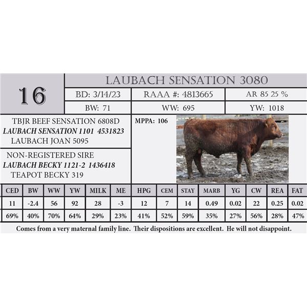 LAUBACH SENSATION 3080