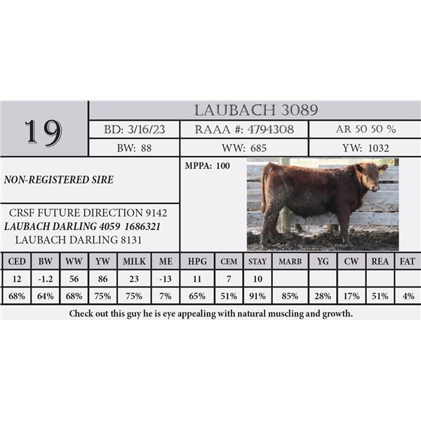 LAUBACH 3089