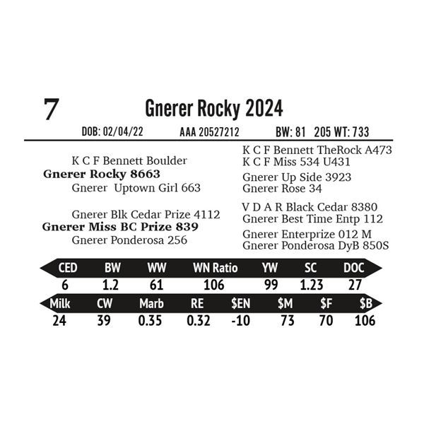 Gnerer Rocky 2024