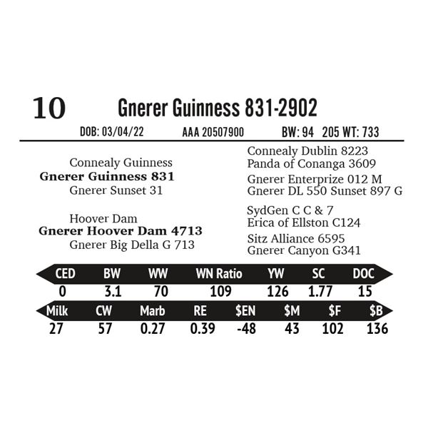 Gnerer Guinness 831-2902