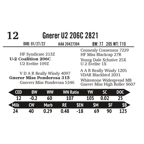 Gnerer U2 206C 2821