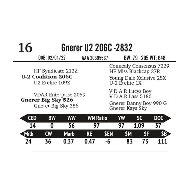 Gnerer U2 206C -2832