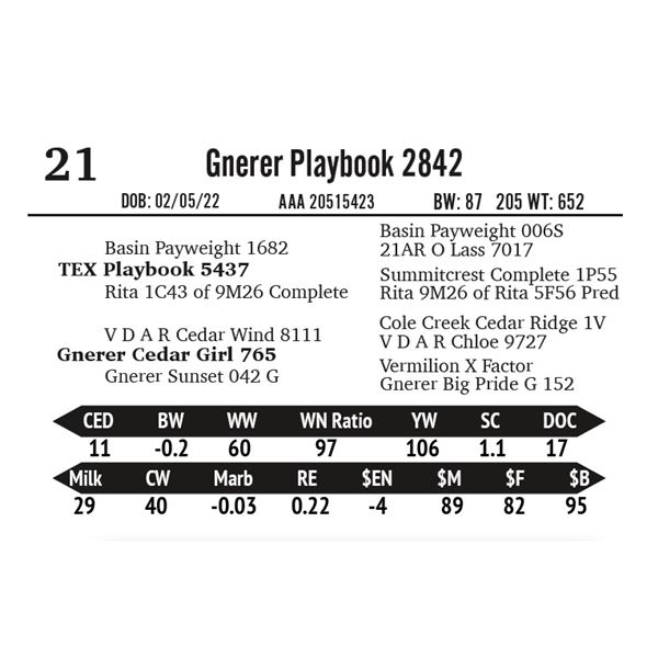 Gnerer Playbook 2842