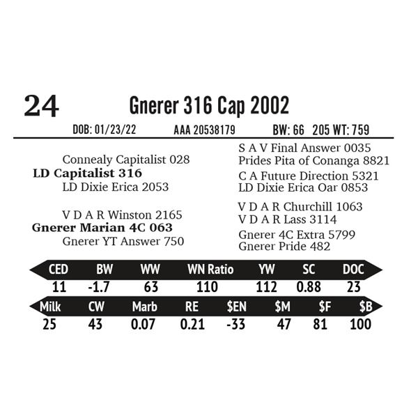 Gnerer 316 Cap 2002