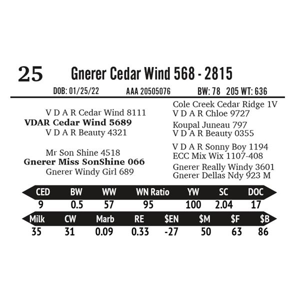 Gnerer Cedar Wind 568 - 2815