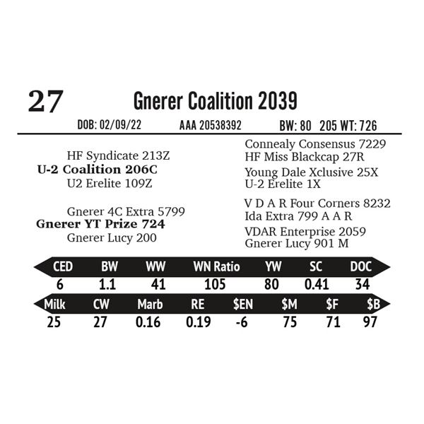 Gnerer Coalition 2039