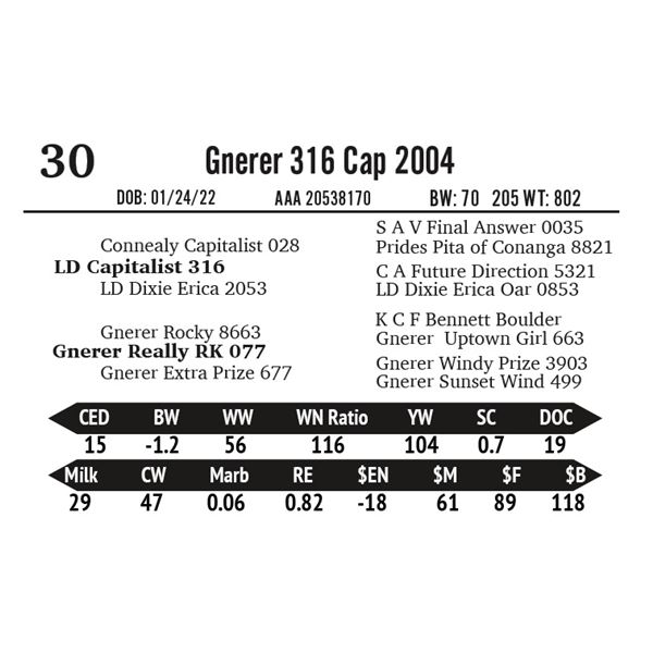 Gnerer 316 Cap 2004