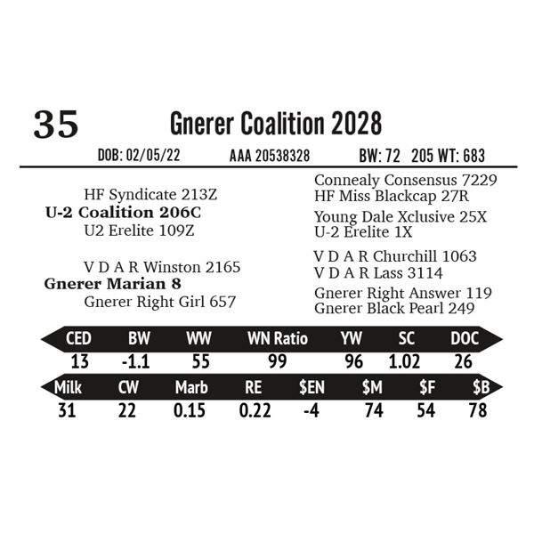 Gnerer Coalition 2028