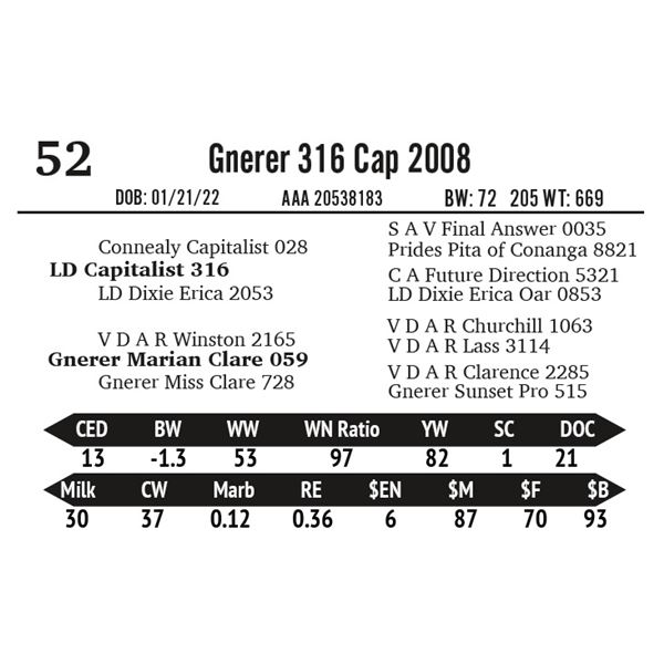 Gnerer 316 Cap 2008