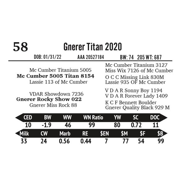 Gnerer Titan 2020