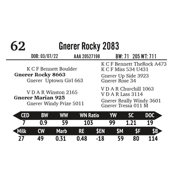 Gnerer Rocky 2083