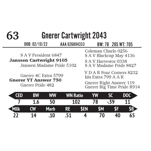 Gnerer Cartwright 2043