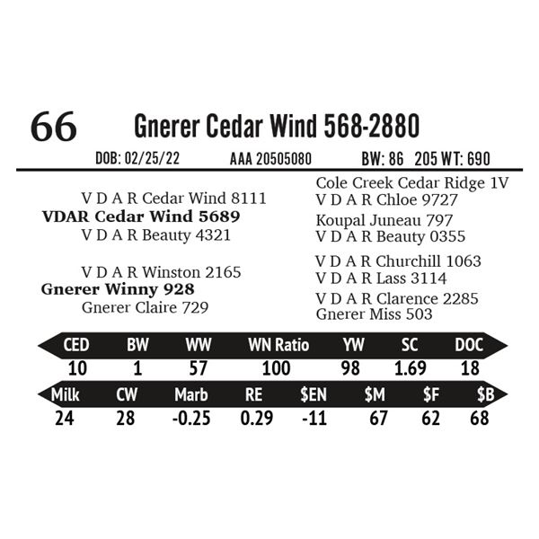 Gnerer Cedar Wind 568-2880